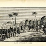 Enslaved captured at Kilgou [Egypt] by William T. Alexander, 1887
