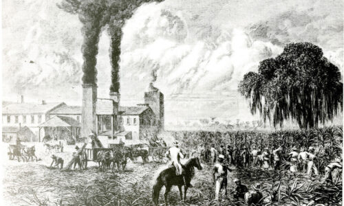 Labor Systems and Resistance in Colonial America (6-8)